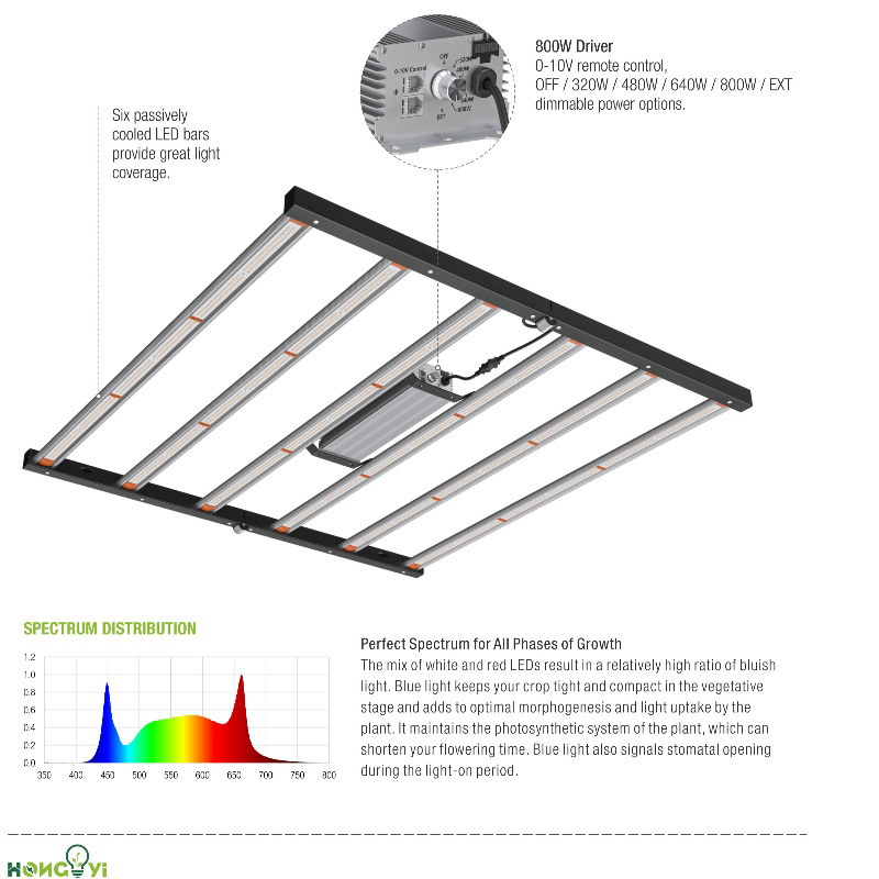 1703230958.jpg 6-800-3.jpg