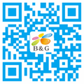 B&G Link.png